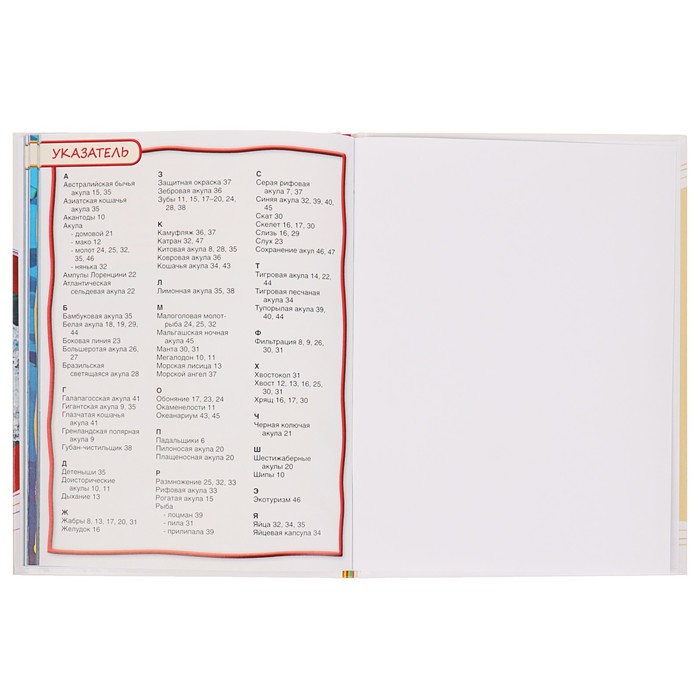 100 фактов «Акулы»