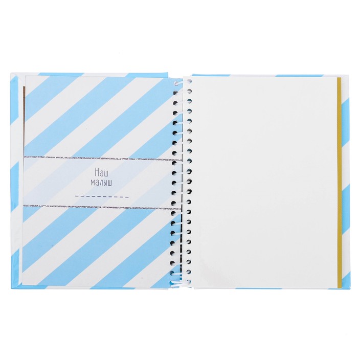 Фотоальбом "Альбом нашего малыша", 10 магнитных листов