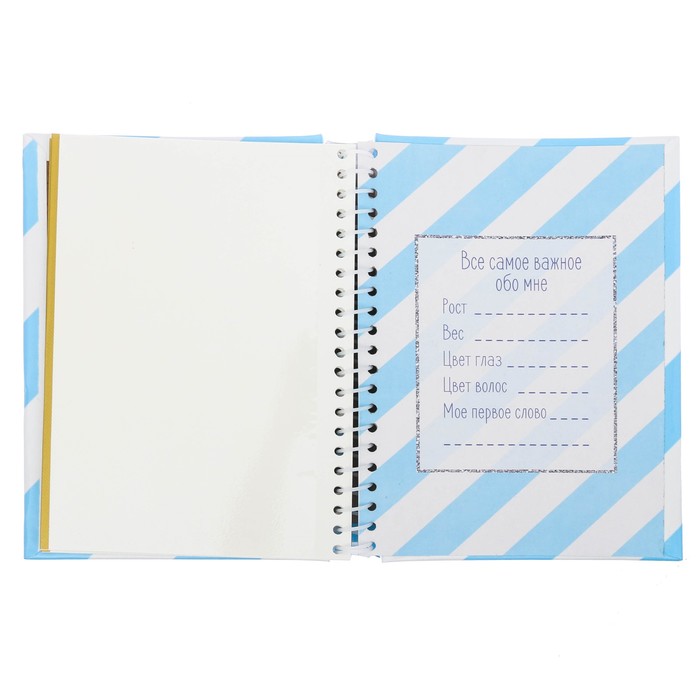 Фотоальбом "Альбом нашего малыша", 10 магнитных листов