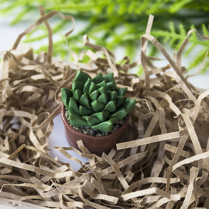 Силиконовый молд "Суккулент в горшке мини"