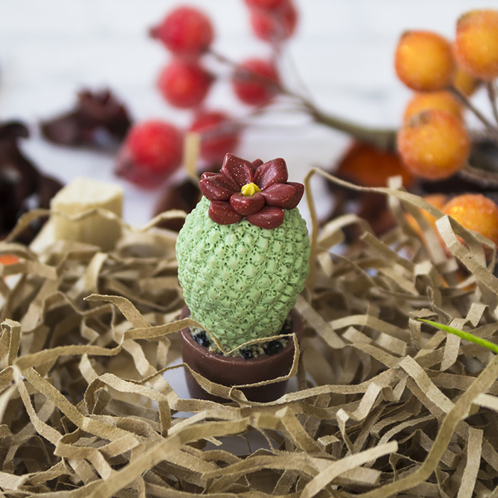 Силиконовый молд "Цветущий кактус в горшке мини"