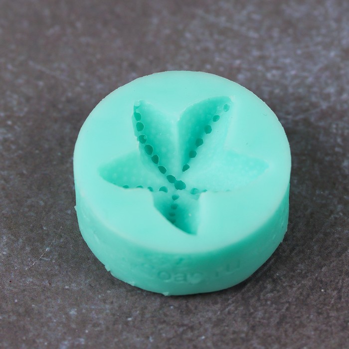 Силиконовый молд "Звезда морская 2"