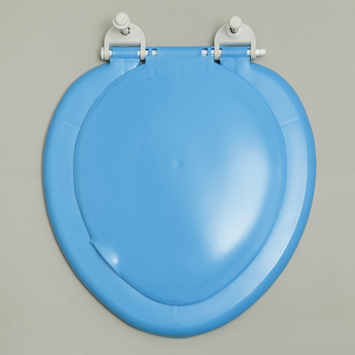 Сиденье для унитаза, цвет голубое