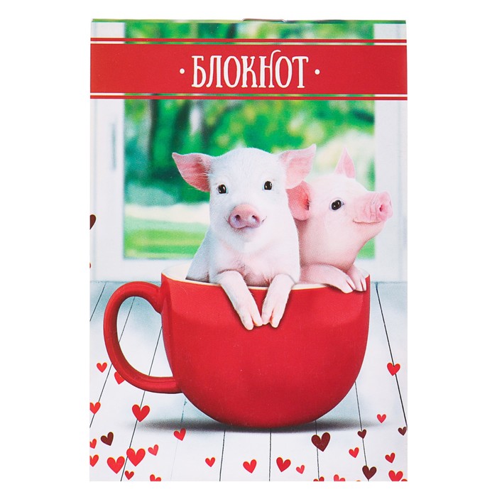 Блокнот А6, 24 листа на скрепке Calligrata "Свинки в кружке", обложка картон хром-эрзац