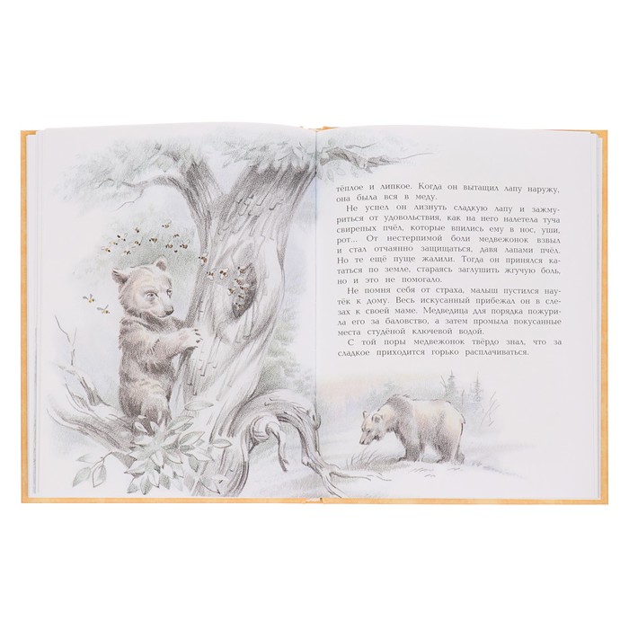 Сказки и истории о животных, людях и мире природы для маленьких и постарше (ил. В. Канивца). Автор: Леонардо да Винчи