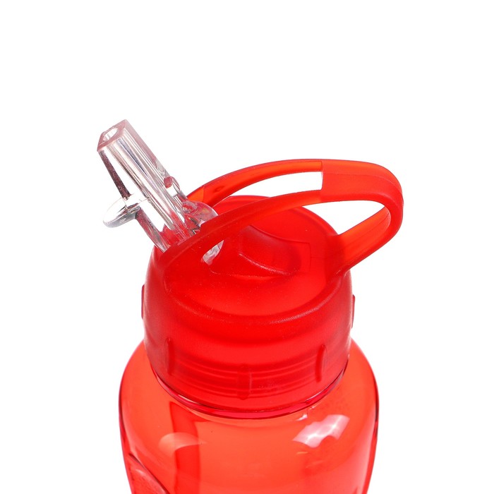 Фляжка-бутылка для воды 600 мл, велосипедная, фигурная овальная, микс, 8х25 см