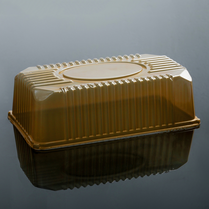 Контейнер ПР-КОР-1222, прямоугольный, 22х12,8х65 см