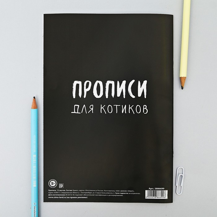 Прописи для взрослых "Я причиню тебе боль и страдания"