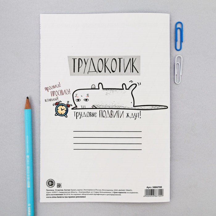 Прописи для взрослых "Трудокотик"