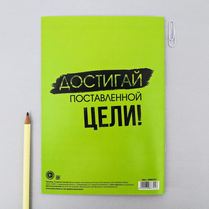 Прописи для взрослых "Достигай поставленной цели"