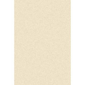 

Ковёр прямоугольный Platinum t600, размер 200 х 400 см, цвет cream