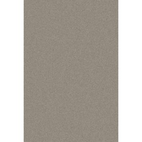 

Ковёр прямоугольный Platinum t600, размер 200 х 200 см, цвет gray