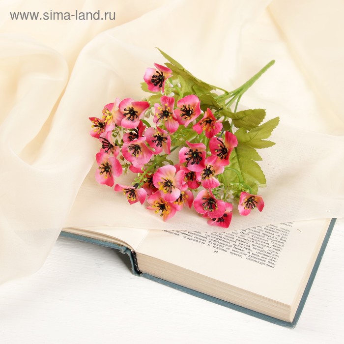 

Букет "Калифорнийские маки" 26 см, микс
