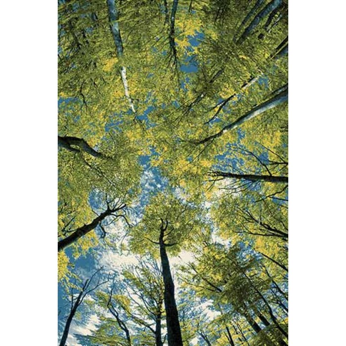 Ковер Fraise CRYSTAL C027, 1,6 × 2,3 м, прямоугольный, MULTICOLOR