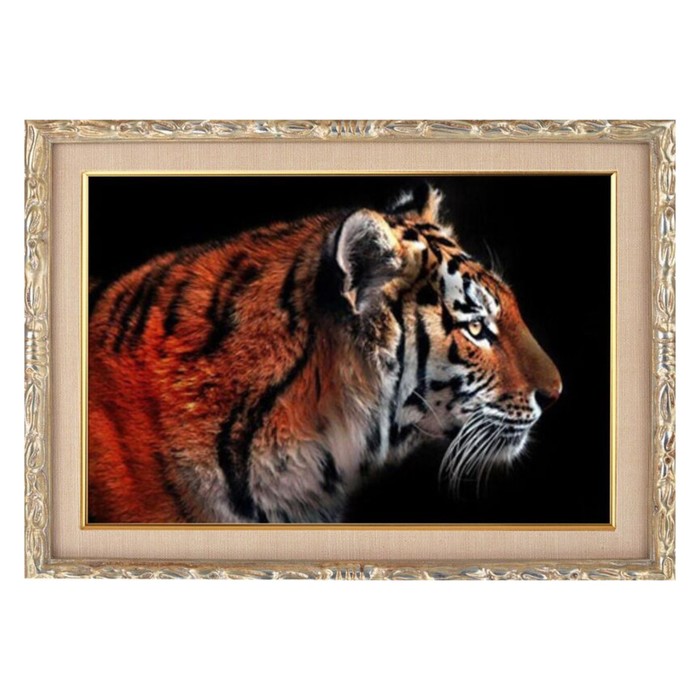 Алмазная мозаика "Устремлённый взгляд", 22 цвета