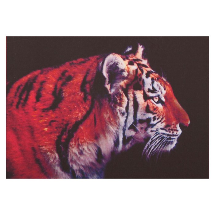 Алмазная мозаика "Устремлённый взгляд", 22 цвета