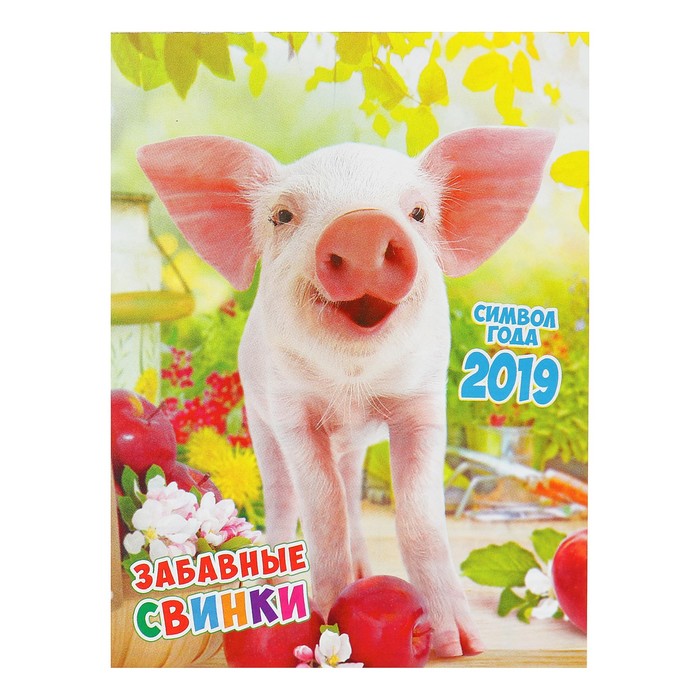Календарь отрывной на магните "Год Свиньи. Довольный поросенок" 2019 год, 9,6х12,8см