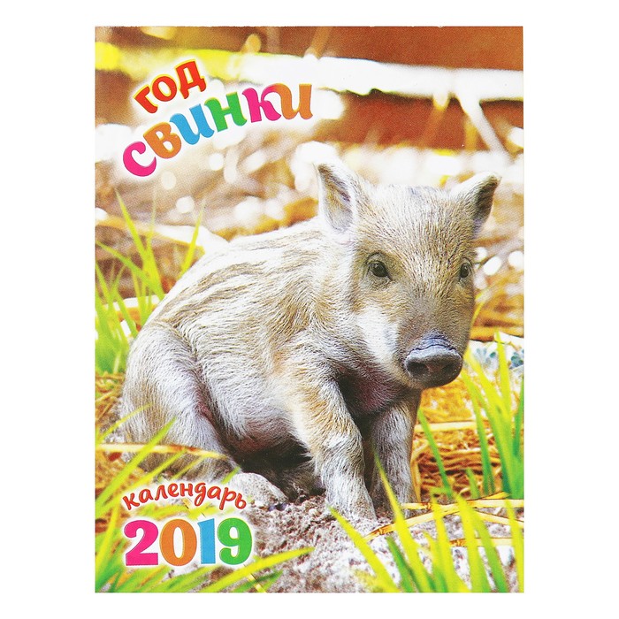 Календарь отрывной на магните "Год Свиньи. Маленький кабанчик" 2019 год, 9,6х12,8см