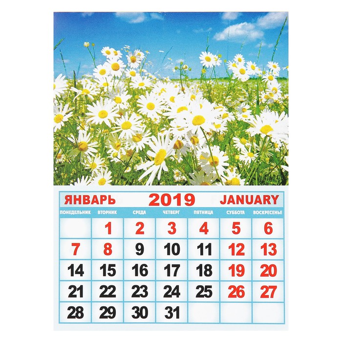 Календарь отрывной на магните "Полевые цветы" 2019 год, 9,6х12,8см