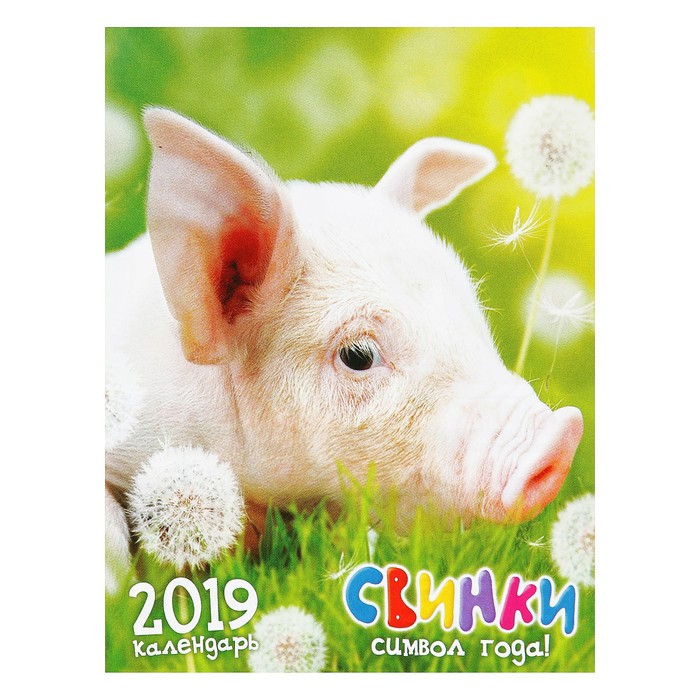 Календарь отрывной на магните "Год Свиньи. Портрет свинки" 2019 год, 9,6х12,8см