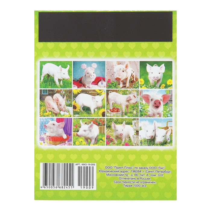 Календарь отрывной на магните "Год Свиньи. Портрет свинки" 2019 год, 9,6х12,8см