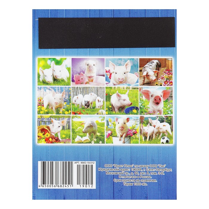 Календарь отрывной на магните "Год Свиньи. Свинка в одуванчиках" 2019 год, 9,6х12,8см