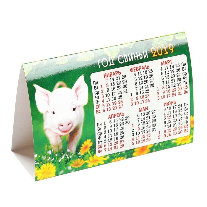 Календарь-домик треугольный "Год Свиньи. Поросенок на травке, в цветах" 2019 год, 18,8х13см   394120