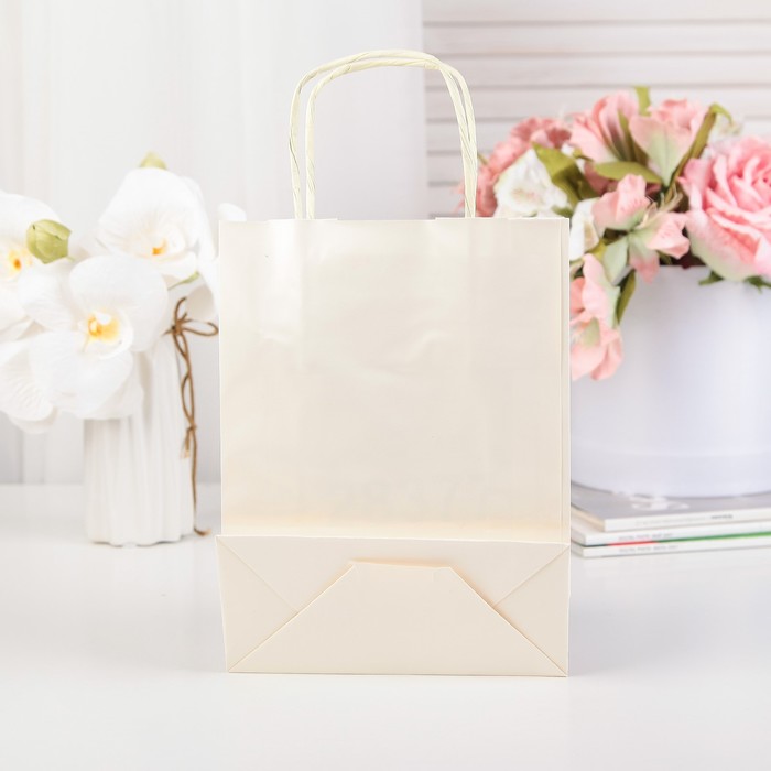 Пакет подарочный, слоновая кость, 21,5 х 16 х 7 см