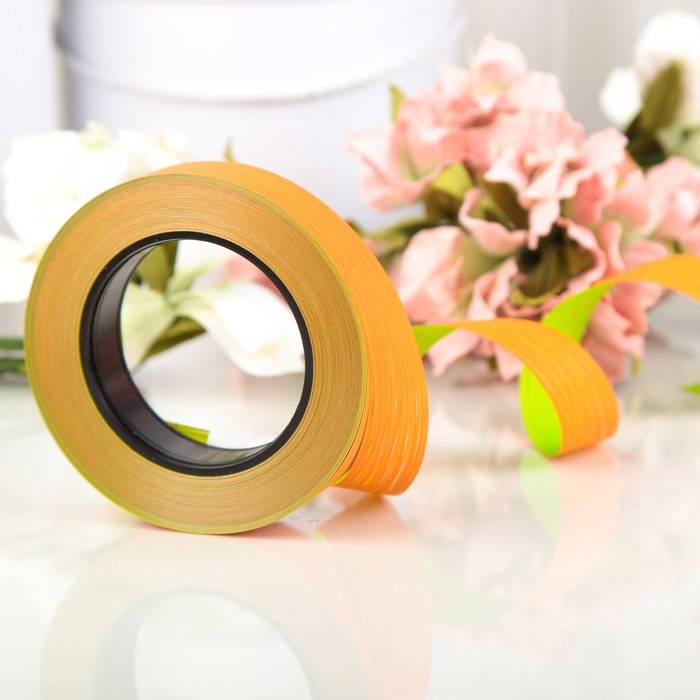 Рафия, двухцветная, оранжево-зеленая, 25 мм х (50 м + 50 м), набор