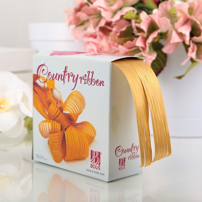 Рафия, двухцветная, бронзово-бежевая, 25 мм х (50 м + 50 м), набор