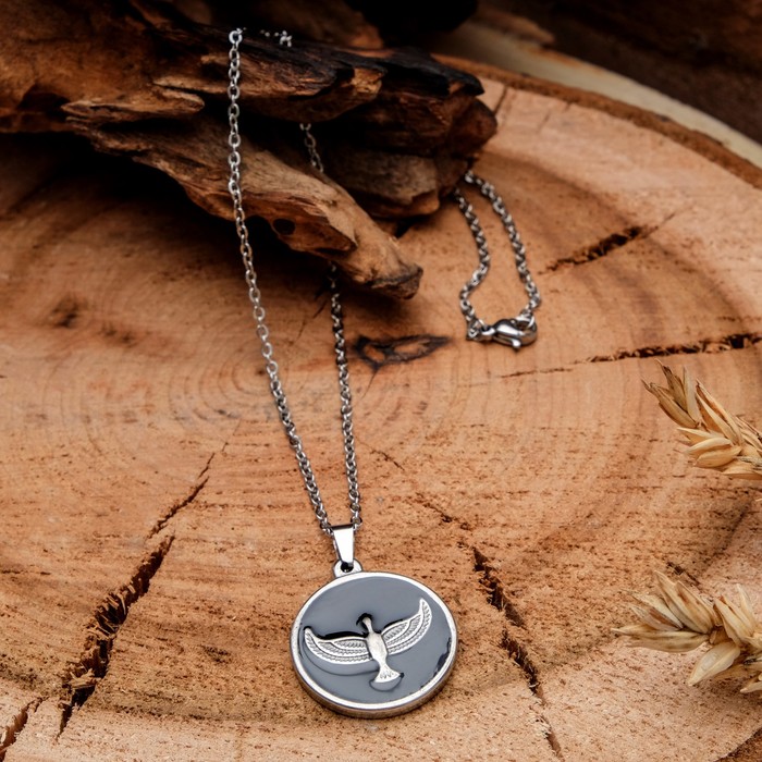 Кулон мужской "Стальной" орёл в круге, цвет чёрный в серебре, 45 см