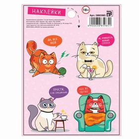 

Наклейки «Котик», 11 × 15 см