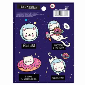 

Наклейки «Космо‒кот», 11 × 15 см