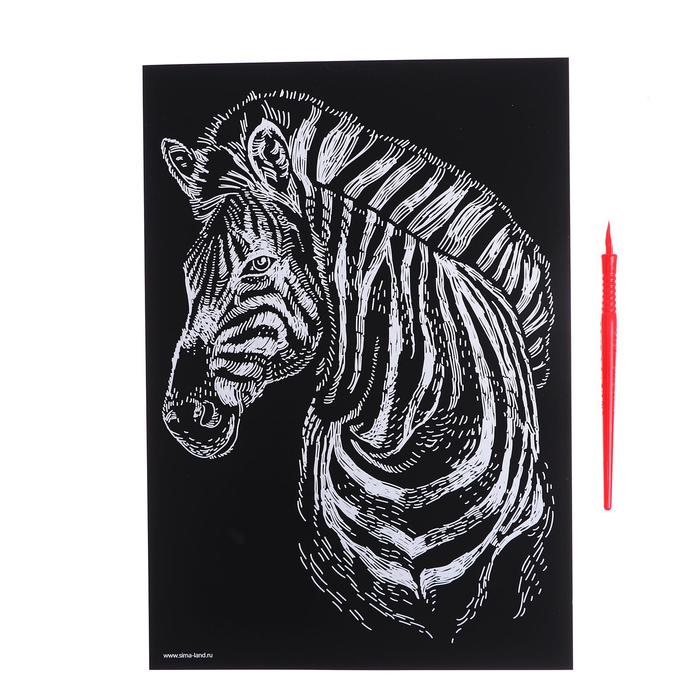 Гравюра "Зебра" с металлическим эффектом серебра А4 + штихель