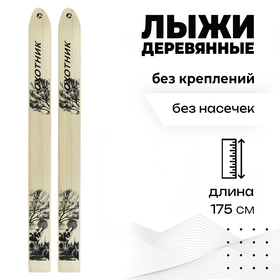 Лыжи деревянные охотничьи, 175 см, цвета микс Ош