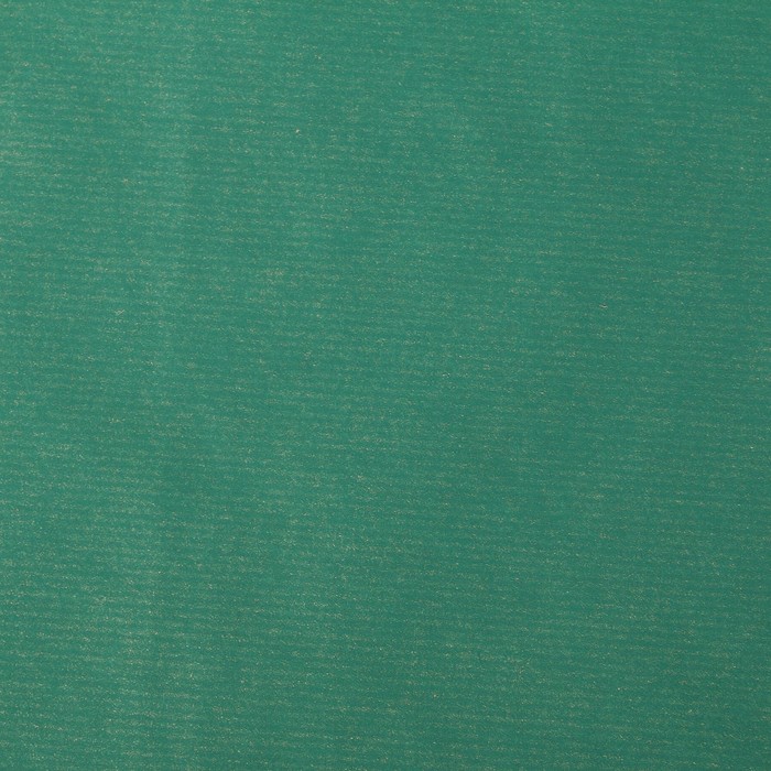 Бумага для декорирования крафт, IRIS, зелёный, 0,7 х 2 м