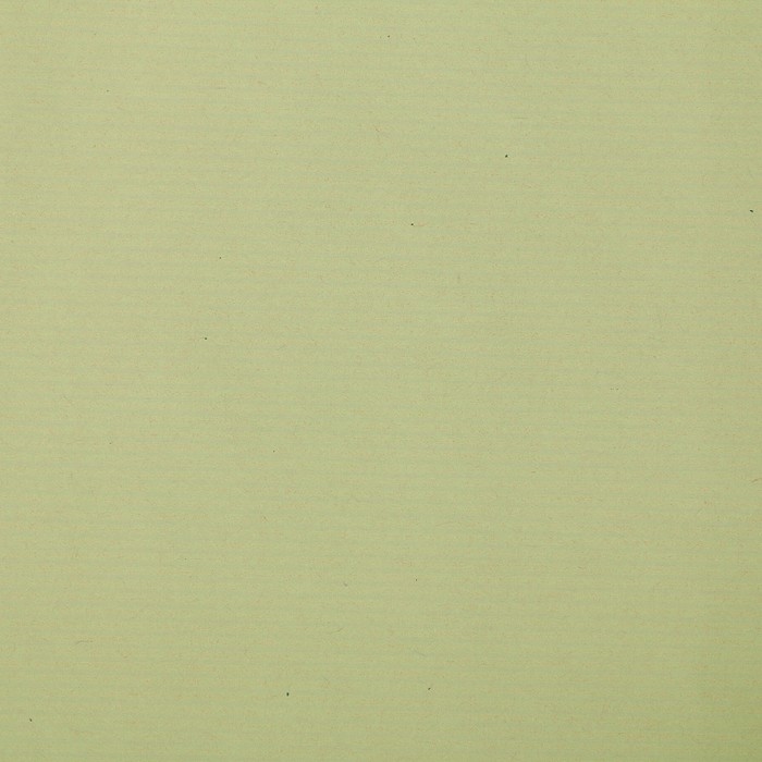 Бумага для декорирования крафт, IRIS, светло-зелёный, 0,7 х 2 м