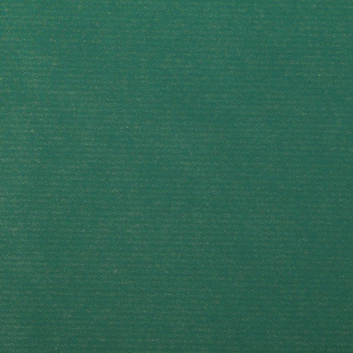 Бумага для декорирования крафт, IRIS XMAS, тёмно-зелёный, 0,7 х 2 м