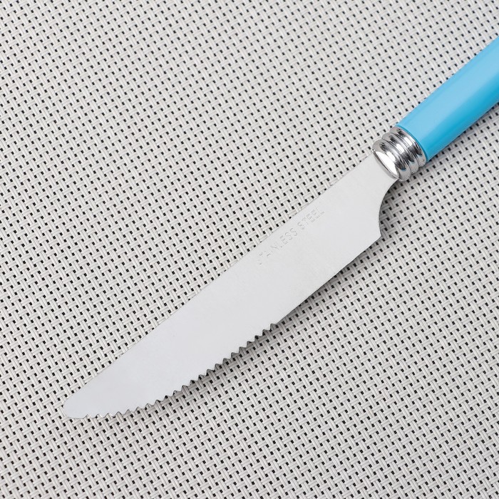 Набор столовых приборов 24 пр на пластиковой подставке "Хэнди" цвет синий