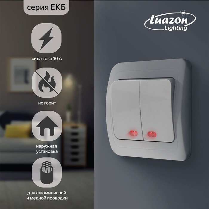 

Выключатель Luazon Lighting "ЕКБ", 10 А, 2 клавиши, скрытый, с подсветкой, белый