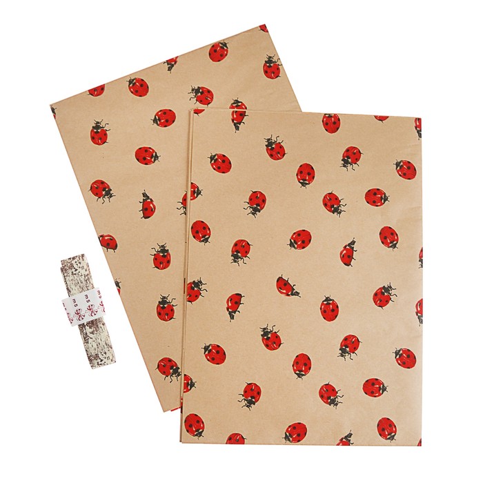 Набор для упаковки, Ladybird, два крафт листа 0,7 х 1 м, лента декоративная 25 мм х 5 м