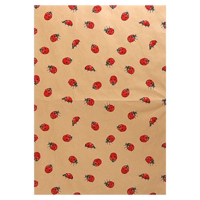 Набор для упаковки, Ladybird, два крафт листа 0,7 х 1 м, лента декоративная 25 мм х 5 м