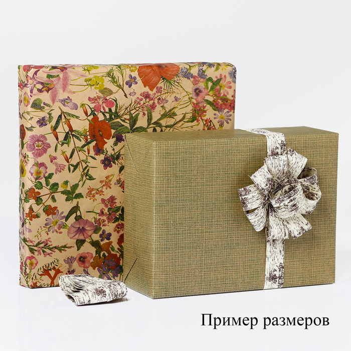 Набор для упаковки, "Фантазия№23", крафт 0,7 х 1 м х 2 шт, лента 3 м х 4 шт