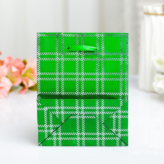 Пакет голография, 11,5 х 14,5 х 6,5 см