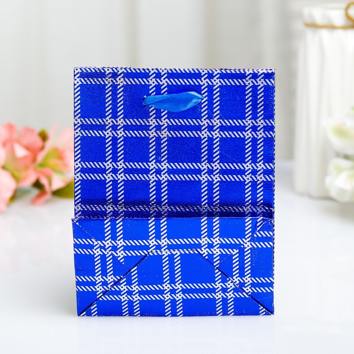 Пакет голография, 11,5 х 14,5 х 6,5 см