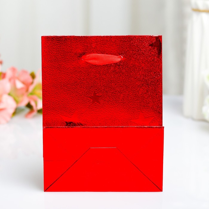 Пакет голография, 11,5 х 14,5 х 6,5 см