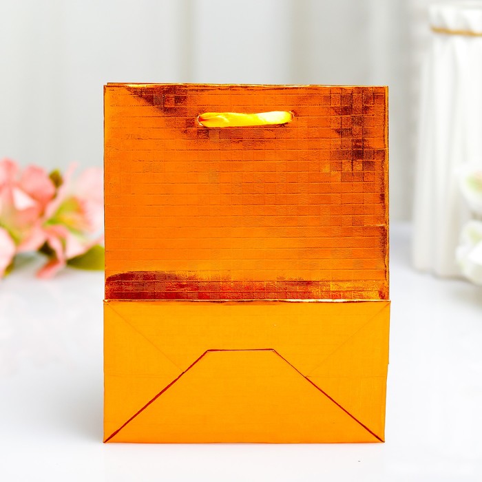 Пакет голография, 11,5 х 14,5 х 6,5 см