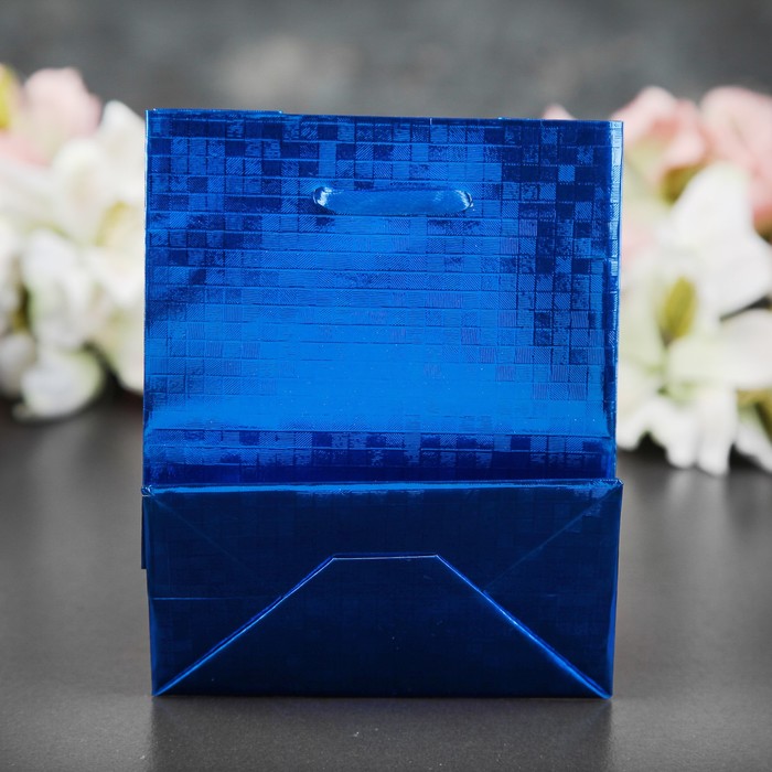 Пакет голография, 11,5 х 14,5 х 6,5 см