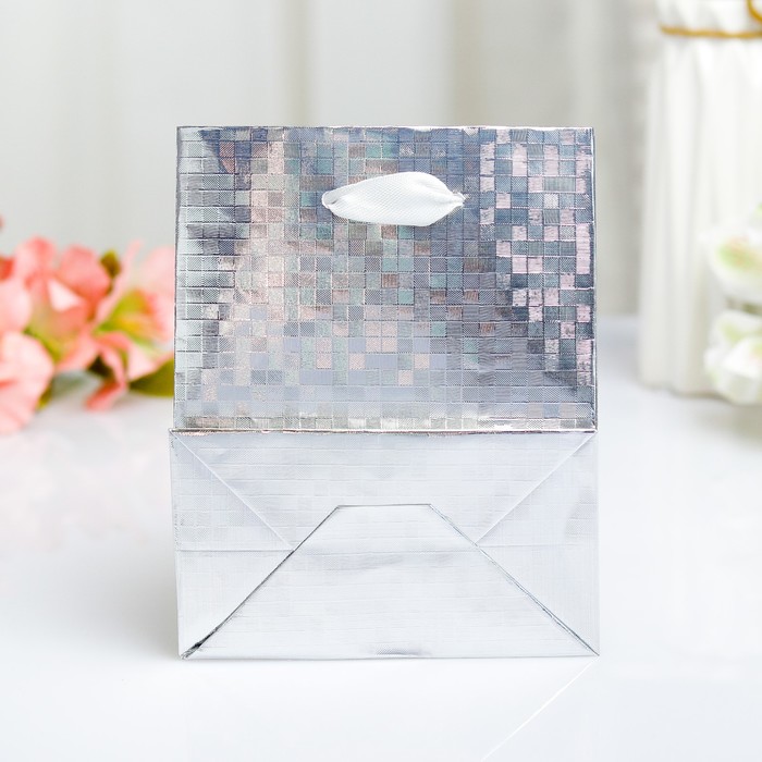 Пакет голография, 11,5 х 14,5 х 6,5 см