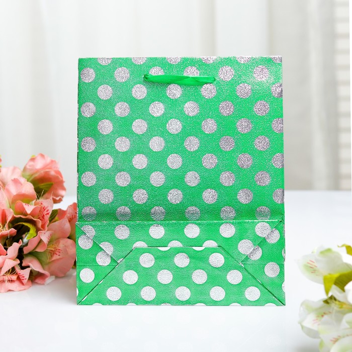 Пакет голография, 18 х 21.5 х 7,5 см